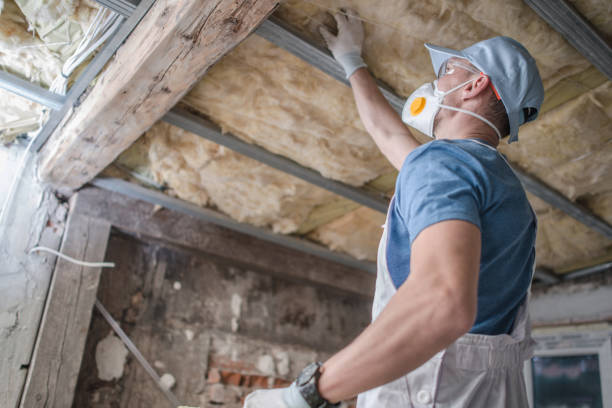Best Insulation Maintenance and Repair in Waverly, MN