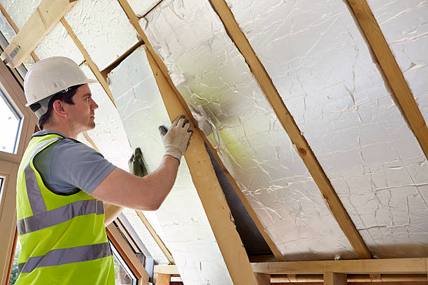 Best Specialty Insulation in Waverly, MN